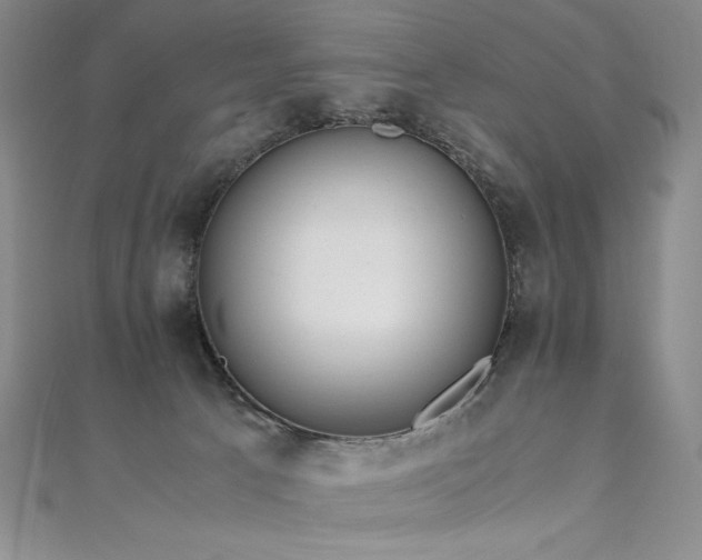 X0000111010033200906191621