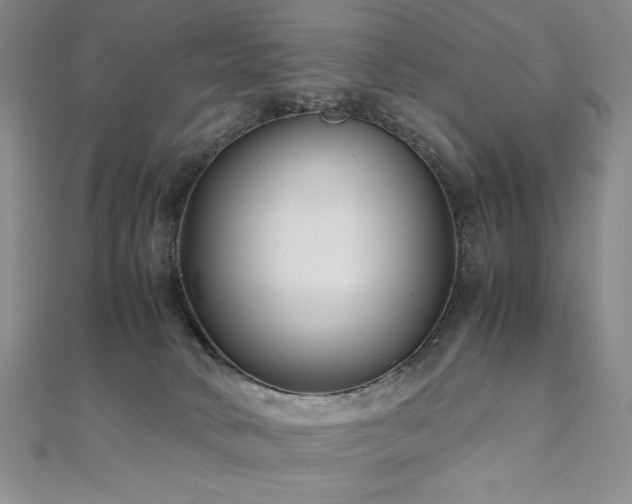 X0000111010034200906191621