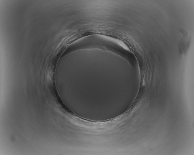 X0000111010035200906191621