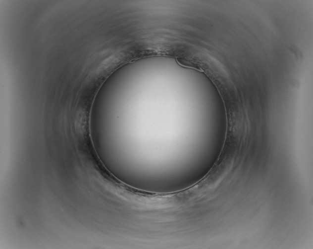 X0000111010036200906191621