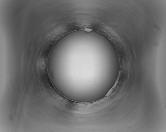 X0000111010037200906191621