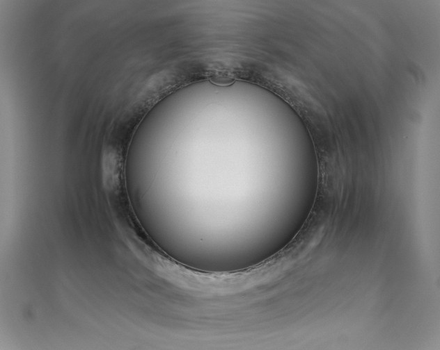 X0000111010038200906191621