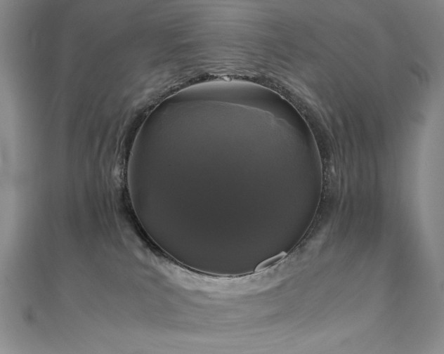 X0000111010039200906191621