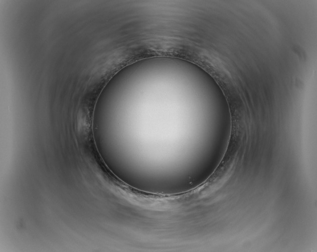 X0000111010040200906191621