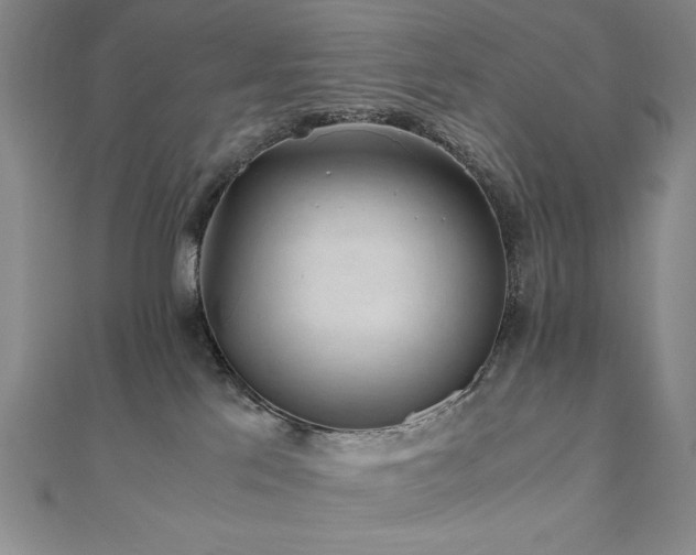 X0000111010041200906191621