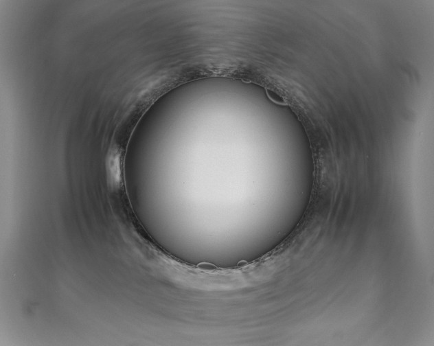 X0000111010042200906191621
