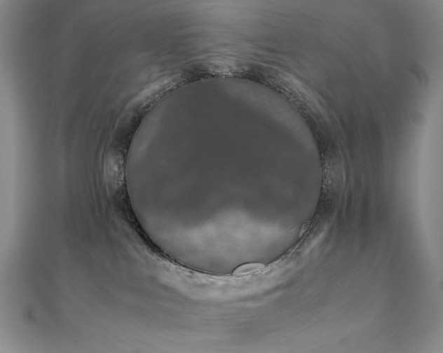 X0000111010043200906191621