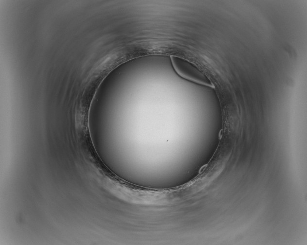 X0000111010044200906191621