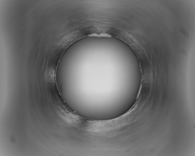 X0000111010045200906191621