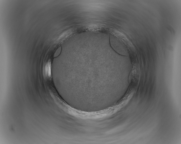 X0000111010046200906191621