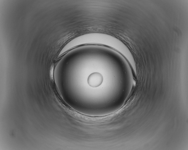 X0000111010047200906191621
