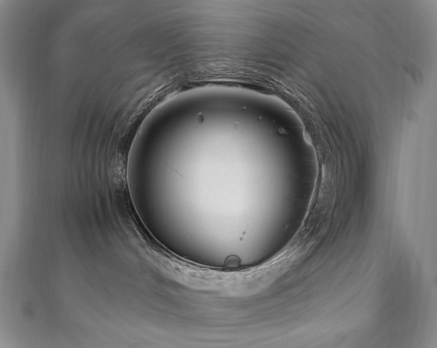 X0000111010048200906191621