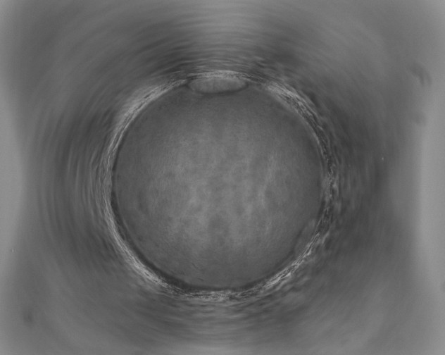 X0000111010049200906191620