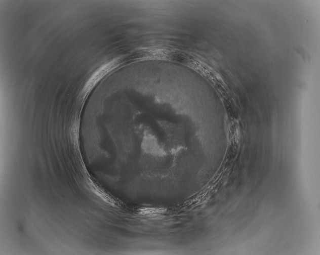 X0000111010051200906191620