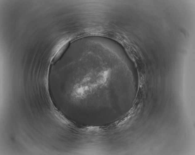 X0000111010052200906191620
