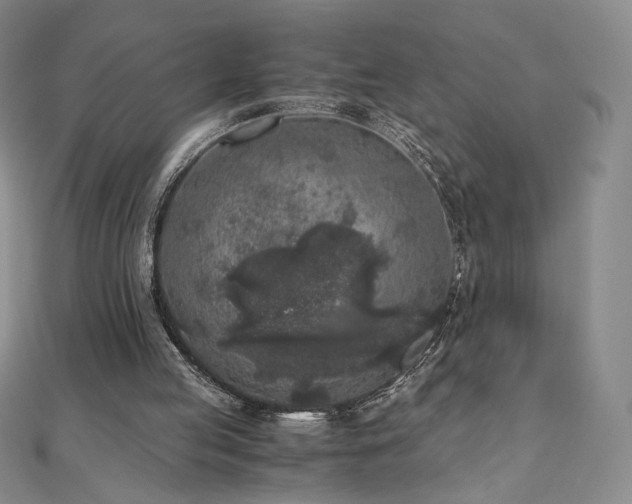 X0000111010053200906191620