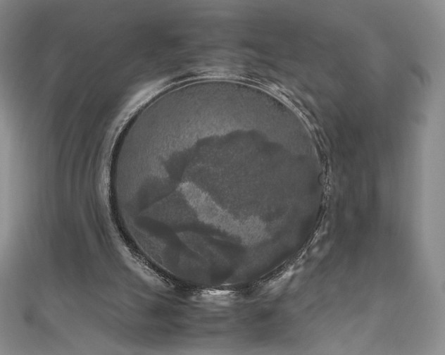 X0000111010055200906191620