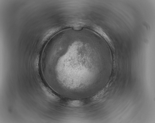 X0000111010058200906191620