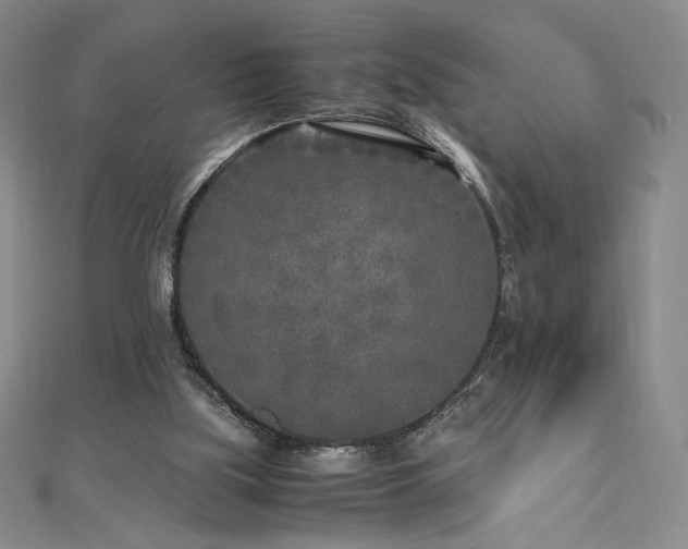 X0000111010059200906191620