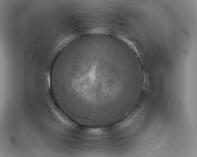 X0000111010061200906191620
