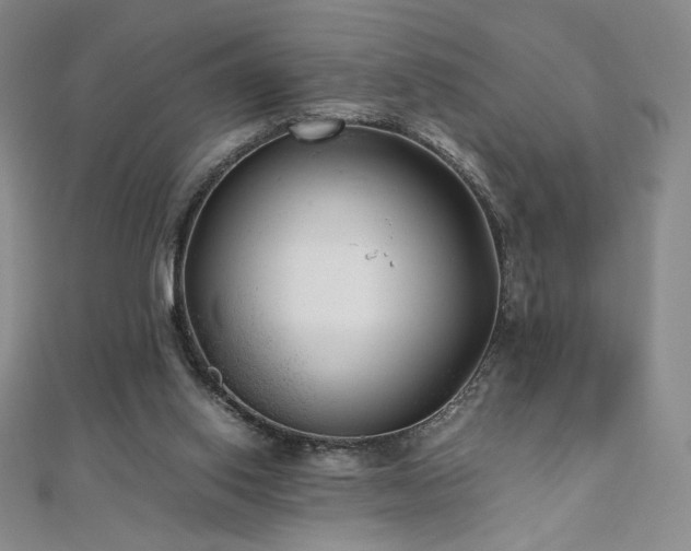 X0000111010062200906191620