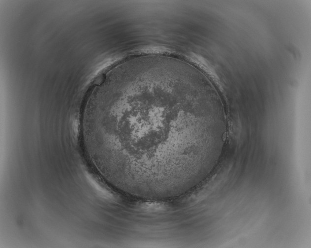 X0000111010063200906191620