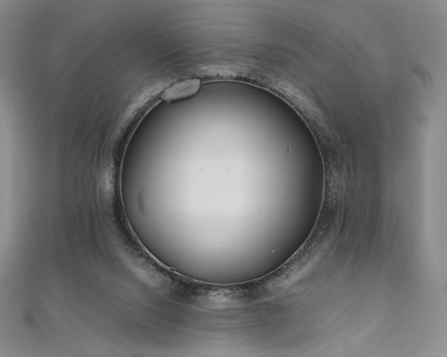 X0000111010064200906191620