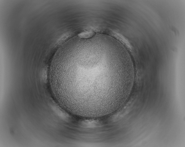 X0000111010065200906191620