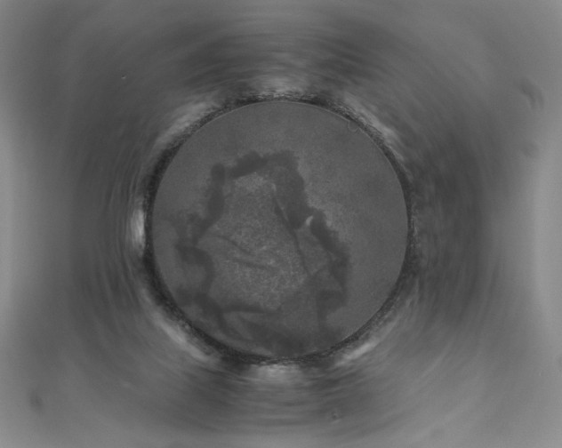 X0000111010067200906191620