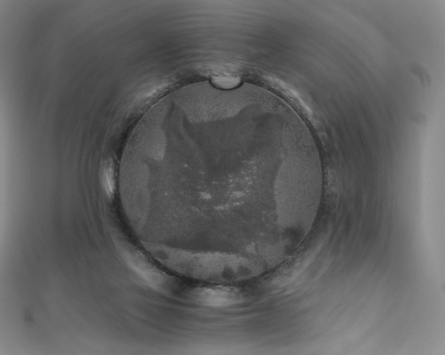 X0000111010069200906191620