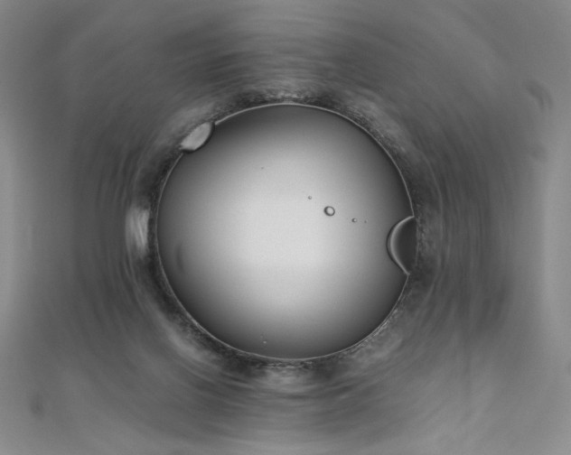 X0000111010070200906191620