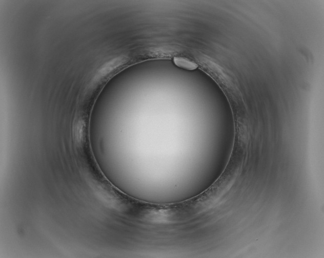 X0000111010071200906191620