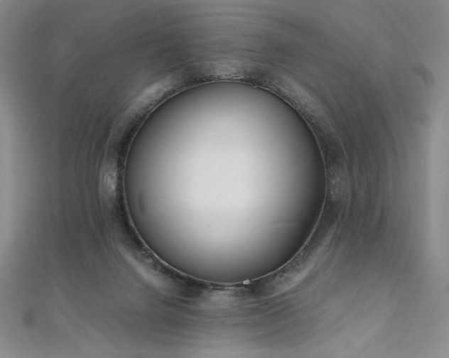 X0000111010072200906191620