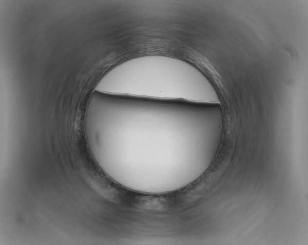 X0000111010073200906191620