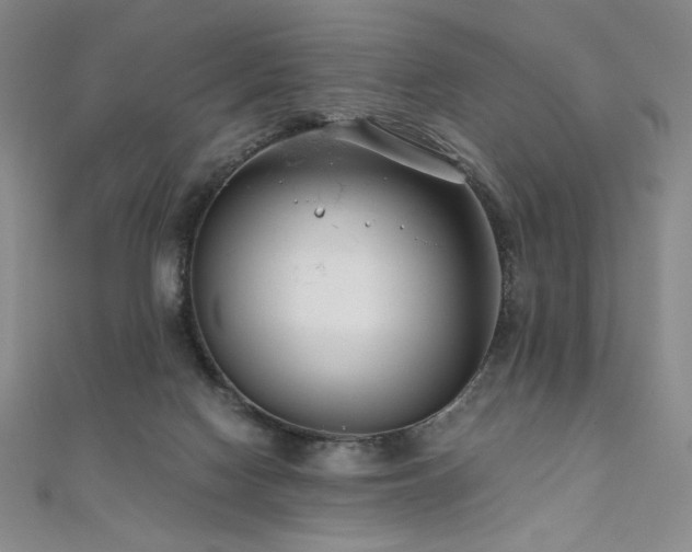 X0000111010074200906191620