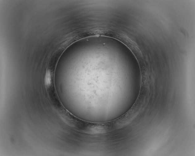 X0000111010075200906191620