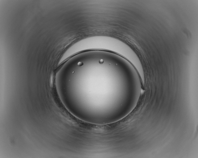 X0000111010076200906191620