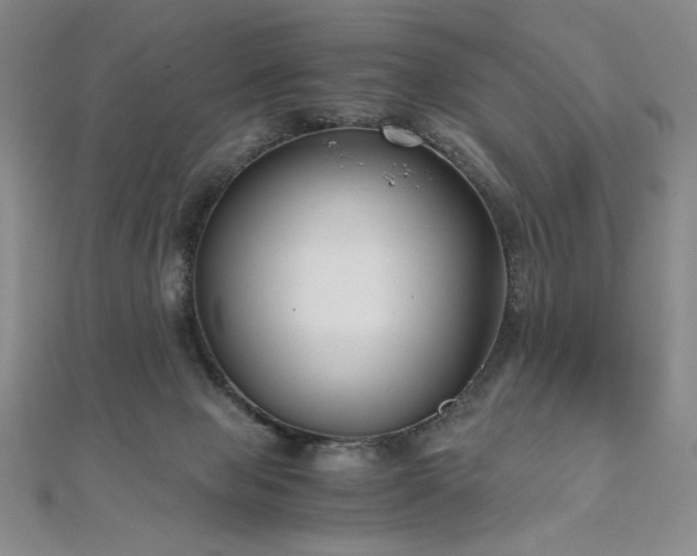 X0000111010077200906191620