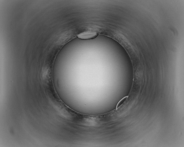X0000111010079200906191620