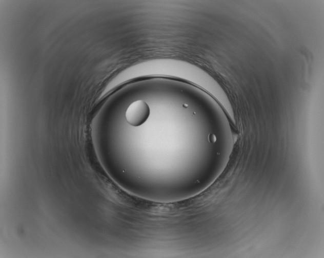 X0000111010080200906191620