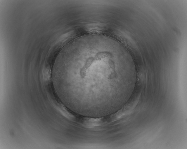 X0000111010081200906191620