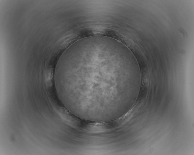 X0000111010082200906191620