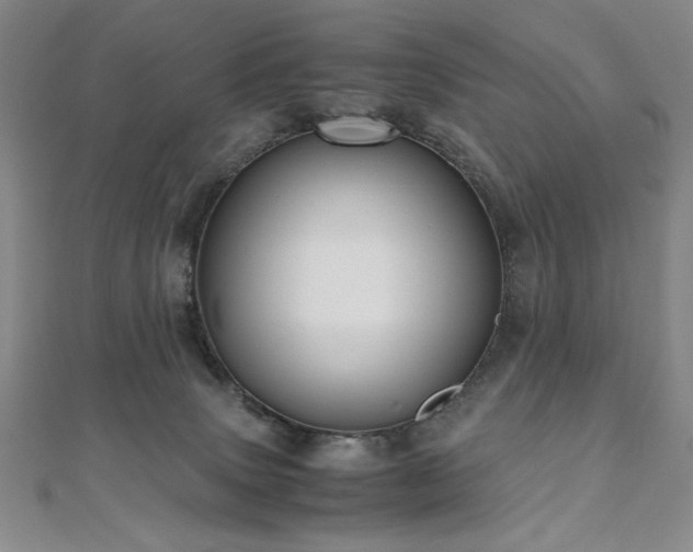 X0000111010083200906191620