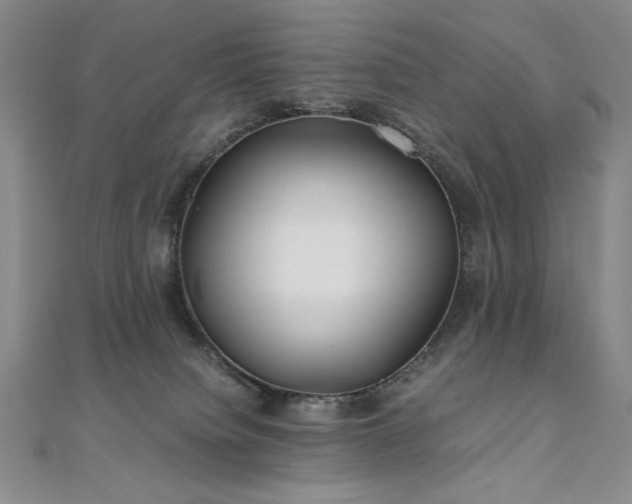 X0000111010084200906191620