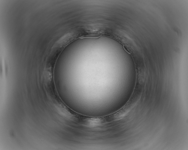 X0000111010085200906191620