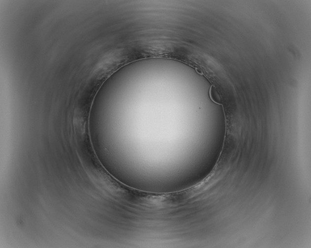 X0000111010086200906191620