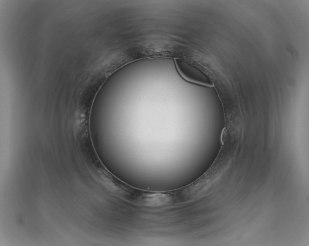 X0000111010087200906191620