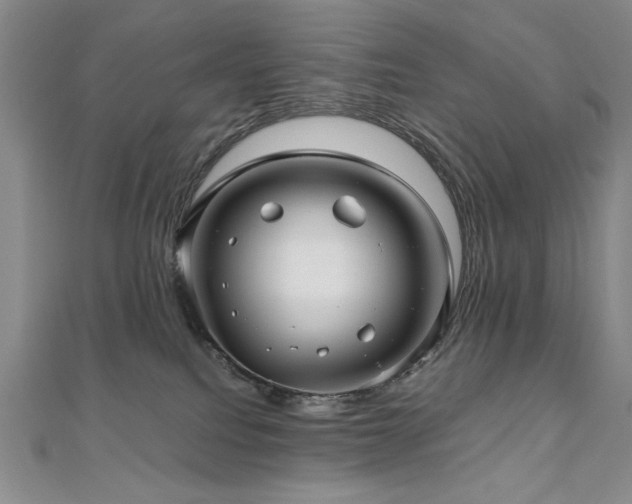 X0000111010088200906191620