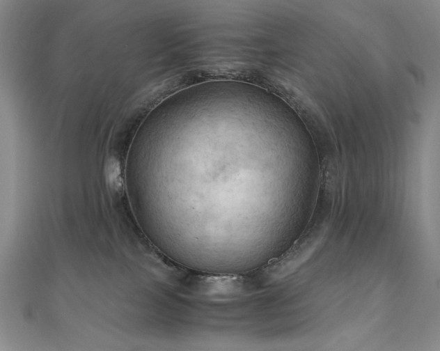 X0000111010089200906191620