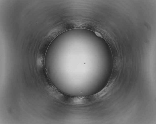 X0000111010090200906191620